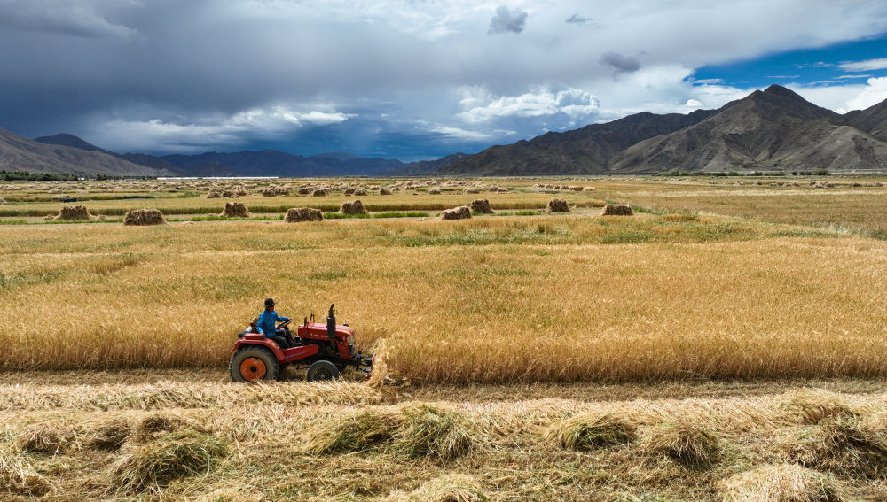 f44d30753d3e2853221401